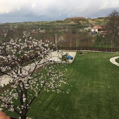 Pensiunea Amurg Mesesenii de Sus 外观 照片