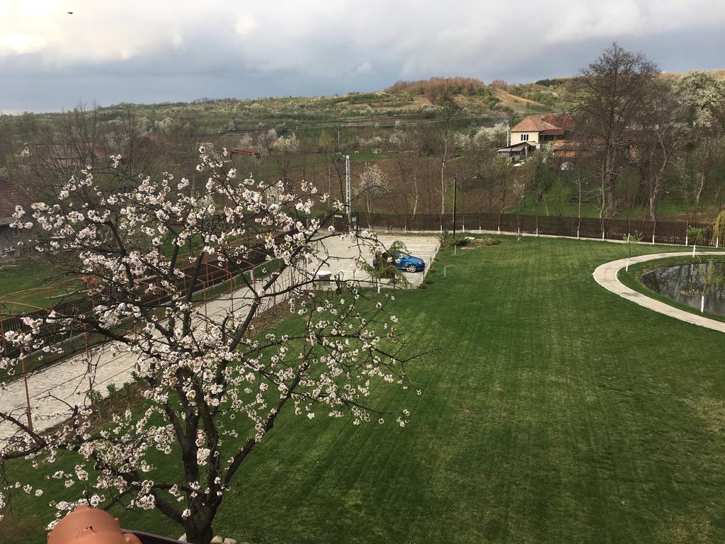 Pensiunea Amurg Mesesenii de Sus 外观 照片